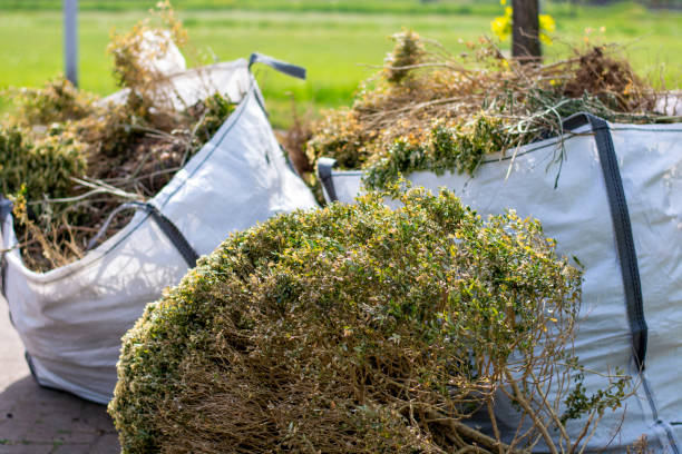 Best Electronics Removal Services  in Maple Valley, WA
